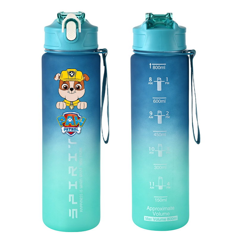 800 ml PAW Patrol Spor Su Şişe - Kids Outdoor Gym incelemesi ve fiyatı