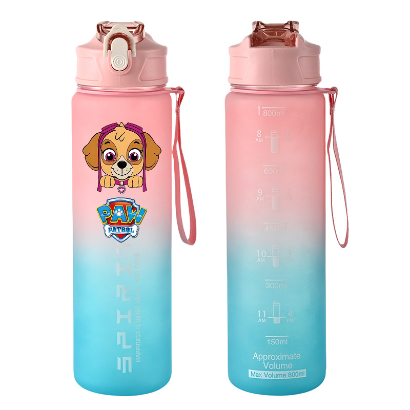 800 ml PAW Patrol Spor Su Şişe - Kids Outdoor Gym incelemesi ve fiyatı