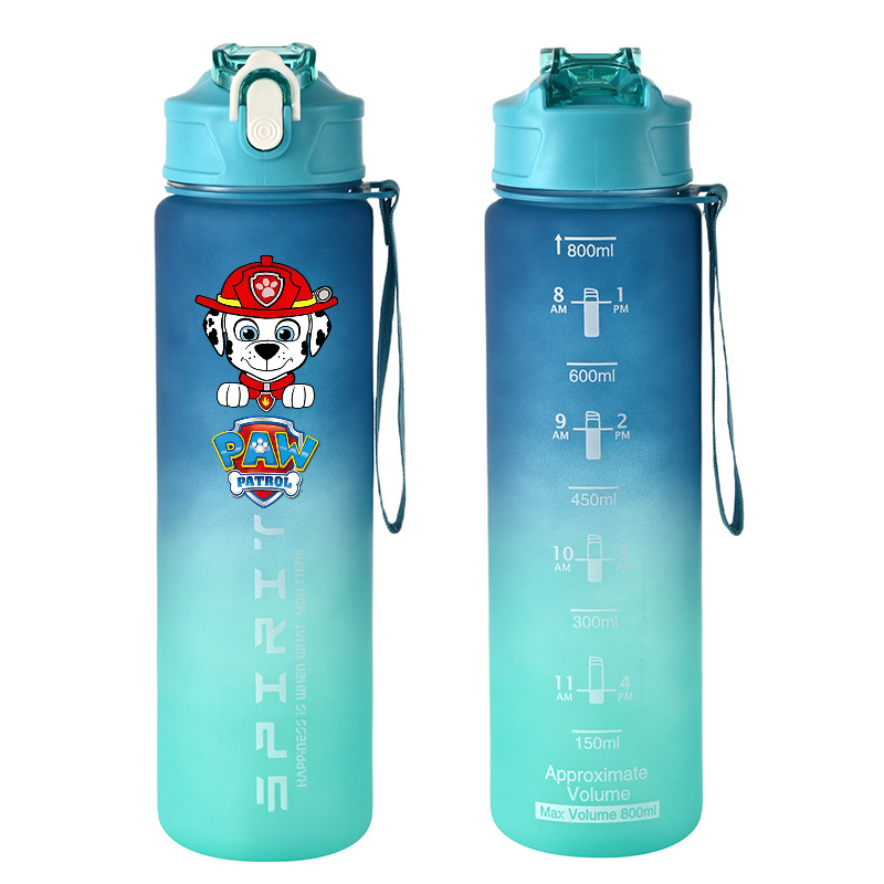 800 ml PAW Patrol Spor Su Şişe - Kids Outdoor Gym incelemesi ve fiyatı